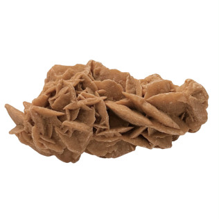 Ρόδο της Ερήμου – Ενεργειακή Ασπίδα Προστασίας Και Δύναμης