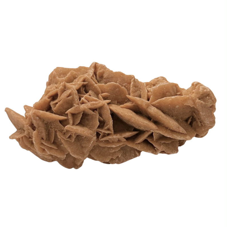 Ρόδο της Ερήμου – Ενεργειακή Ασπίδα Προστασίας Και Δύναμης