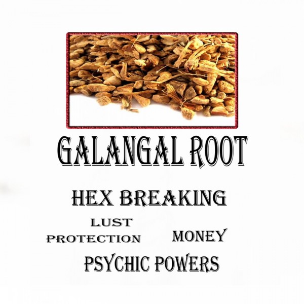 Galangal Root (Χαυλιτζάνι)