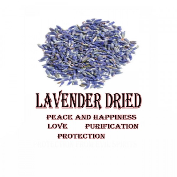 Lavender Dried