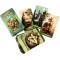 Green Witch Tarot